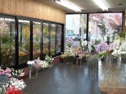 「竹内生花店」　（北海道旭川市）の花屋店舗写真1